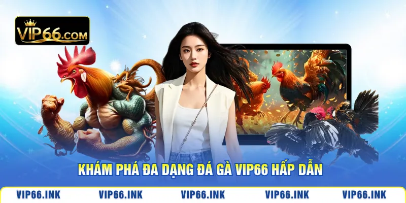 Khám phá đa dạng Đá gà VIP66 hấp dẫn