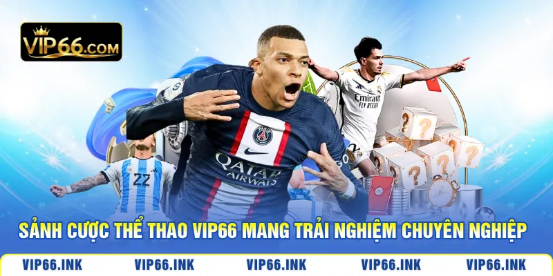 Sảnh cược thể thao VIP66 mang đến trải nghiệm chuyên nghiệp