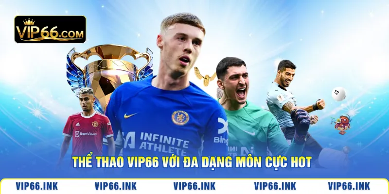 Thể thao VIP66 với đa dạng môn cực hot
